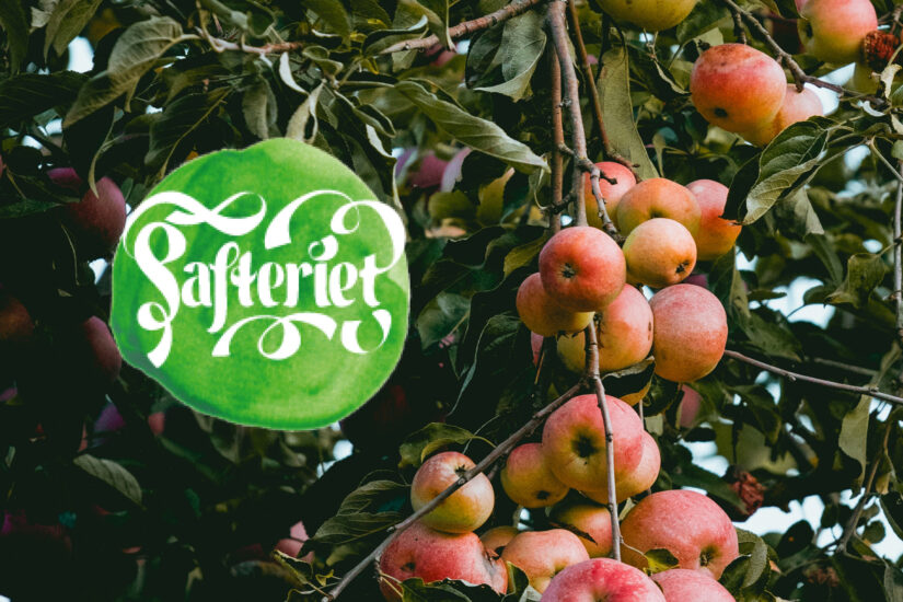 Safteriet ref list image
