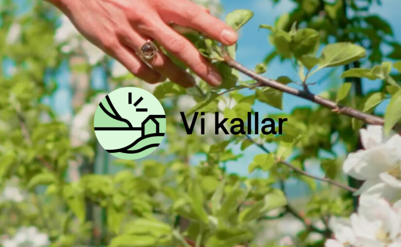 Vikallar ref list image